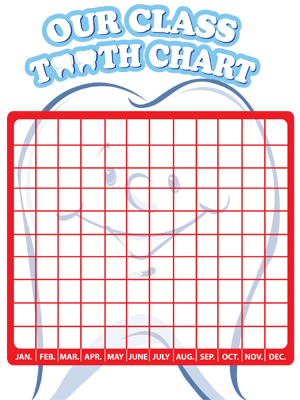 Tooth Chart - 11 x 17