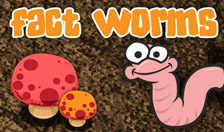 Fact Worms - Game