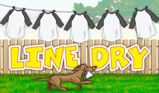 Line Dry - Game