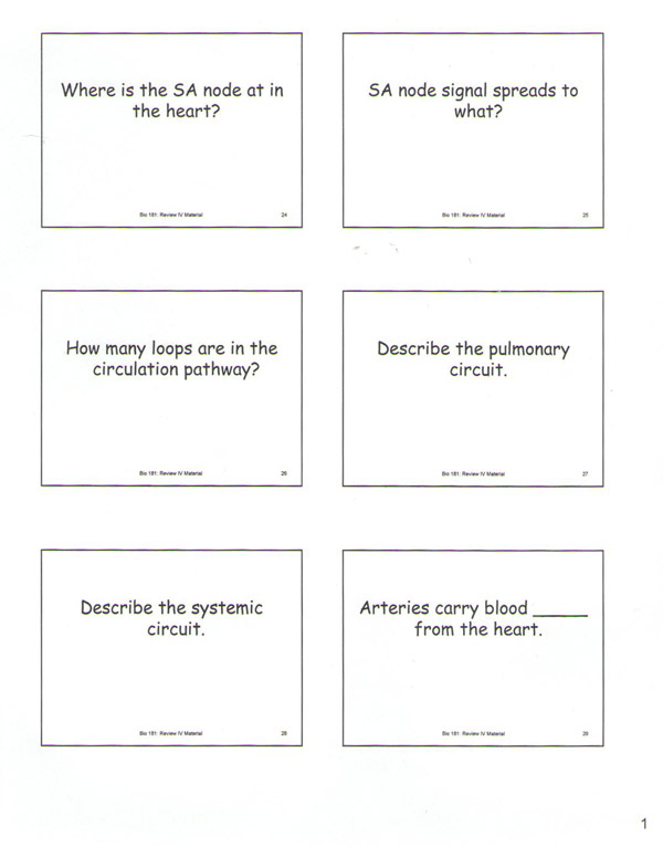 Flashcards